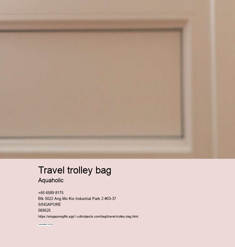 travel trolley bag